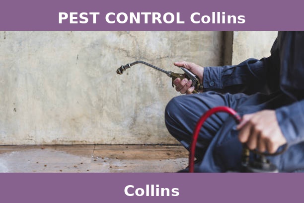 PEST CONTROL Collins